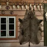 B&B Dworek Galosa