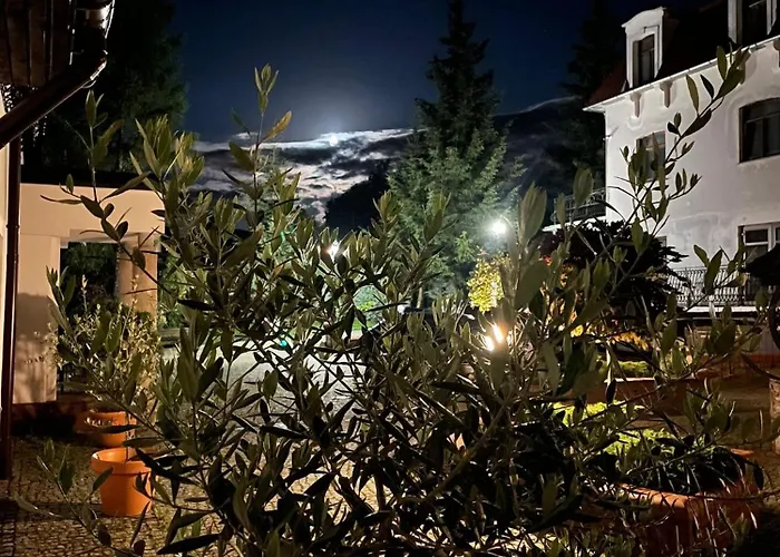 Dworek Galosa 住宿加早餐酒店 *